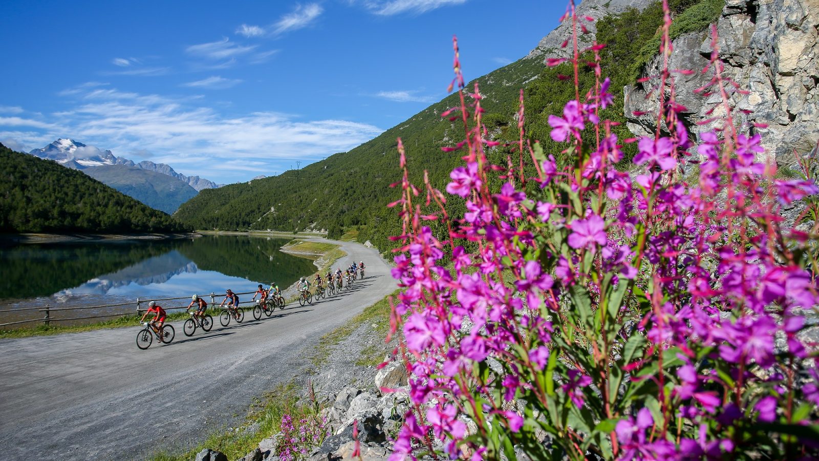 Il giro d'Italia 2020 "tocca" il cuore dell'Alta Valtellina Bike Marathon