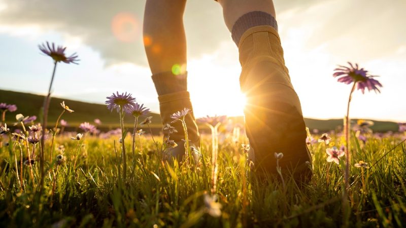 Guida completa per scegliere le scarpe adatte per camminare